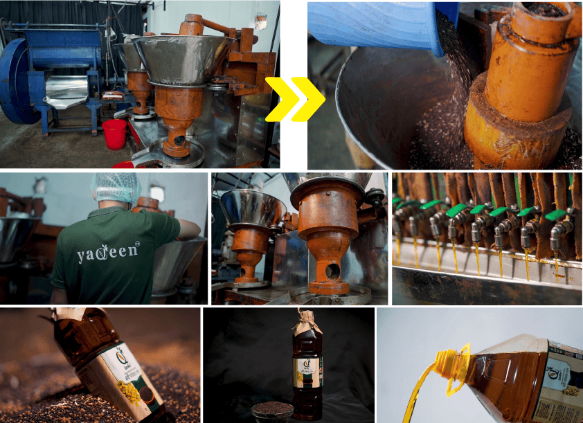Mustard oil extraction from seeds in a traditional processing plant.